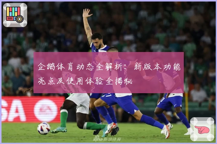 企鹅体育动态全解析:新版本功能亮点及使用体验全揭秘