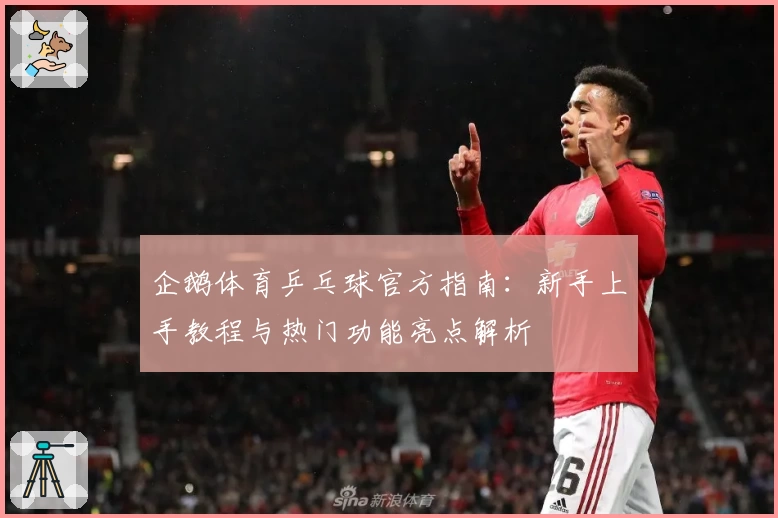 企鹅体育乒乓球官方指南：新手上手教程与热门功能亮点解析