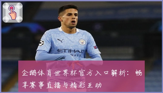 企鹅体育世界杯官方入口解析：畅享赛事直播与精彩互动