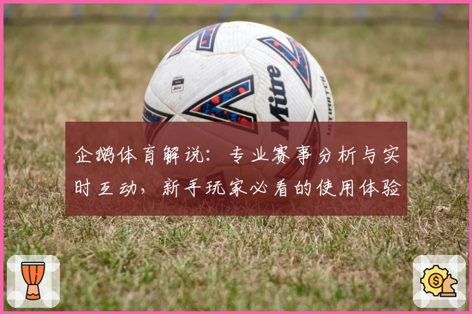 企鹅体育解说：专业赛事分析与实时互动，新手玩家必看的使用体验分享