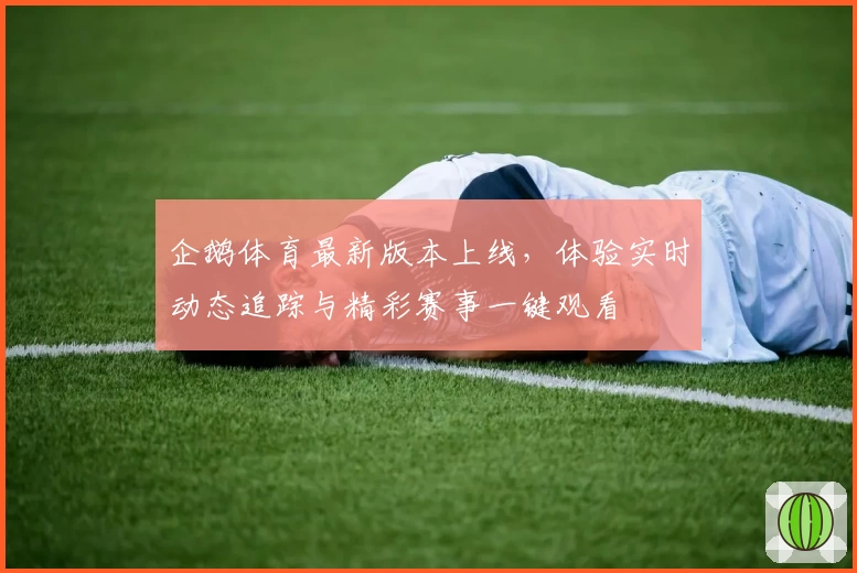 企鹅体育最新版本上线，体验实时动态追踪与精彩赛事一键观看