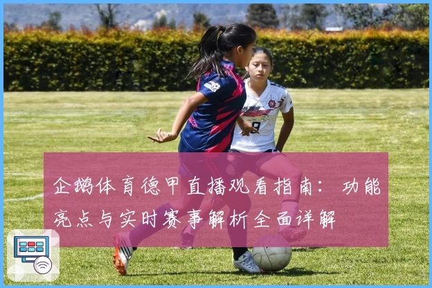 企鹅体育德甲直播观看指南：功能亮点与实时赛事解析全面详解