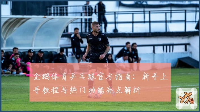 企鹅体育乒乓球官方指南：新手上手教程与热门功能亮点解析