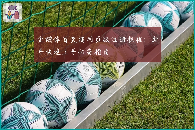 企鹅体育直播网页版注册教程：新手快速上手必备指南